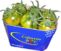 Cofanetto Doc